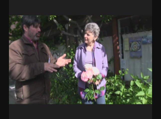 Thumbnail image for Peak Moment - For Humans Bugs and Beauty - An Urban Food Forest Demonstration