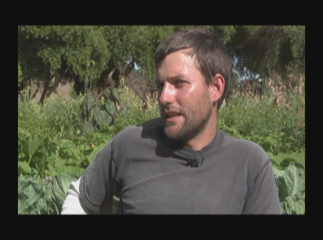 Thumbnail image for Better World Films - Jason mark - Ecology Emerges