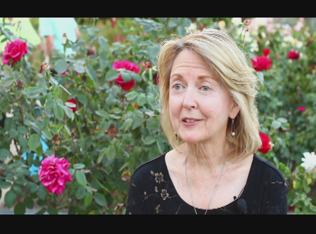 Thumbnail image for Cooking with Kids - America Family and Pumpkin Pie