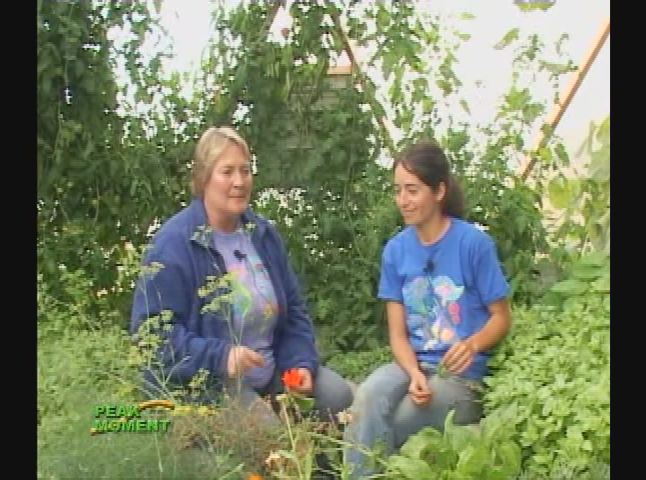 Thumbnail image for Peak Moment - Geodesic Garden at 6000 Feet -