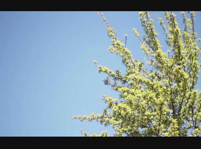 Thumbnail image for Peak Moment - Homeschooling with Heart