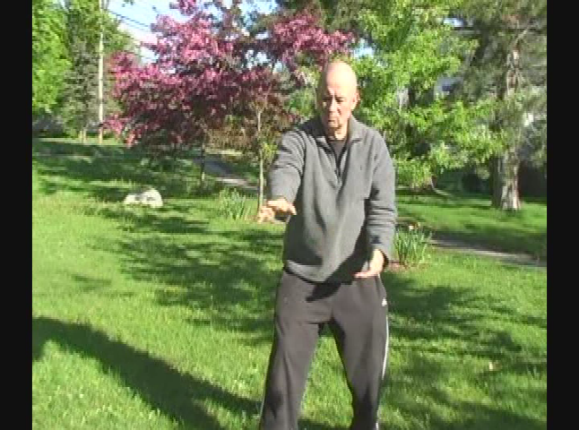 Thumbnail image for Tai Chi i- 2 Spring