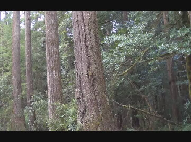 Thumbnail image for Brethren Voices - Nature Land Trust