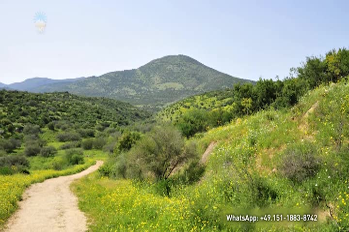 Thumbnail image for Ethical Programs - This Is My Word - Childhood and Youth of Jesus