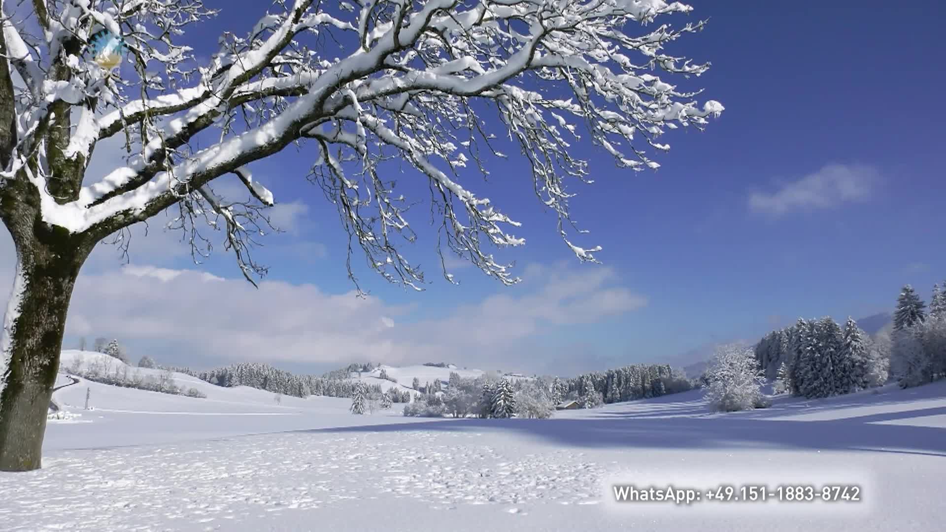 Ethical Programs - Meditation for the Turn of the Year - Jan 13 2025