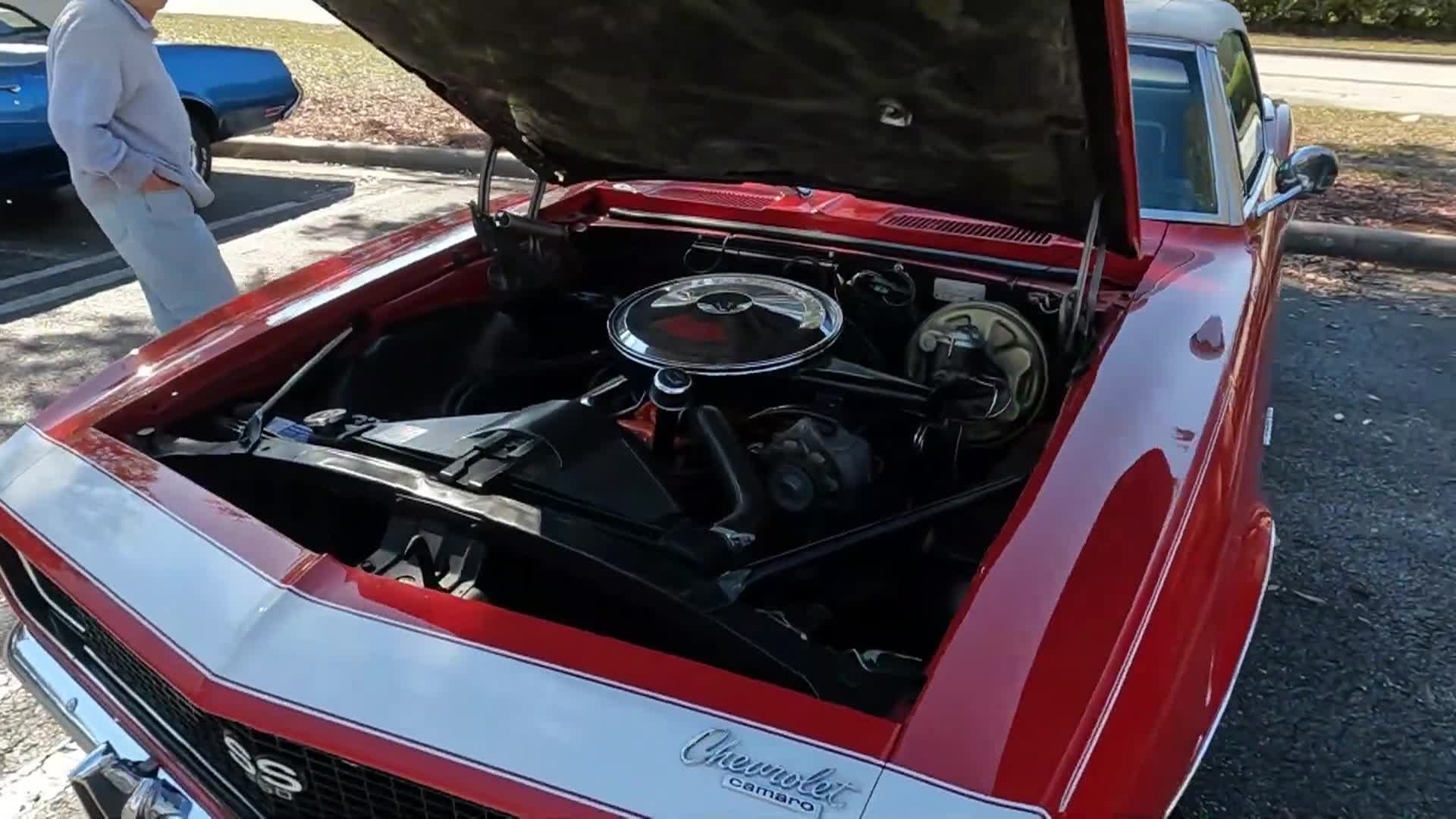 Bills Car Show - Louvonne Winn-Dixie Afternoon Car Cruise - Feb 25 2025
