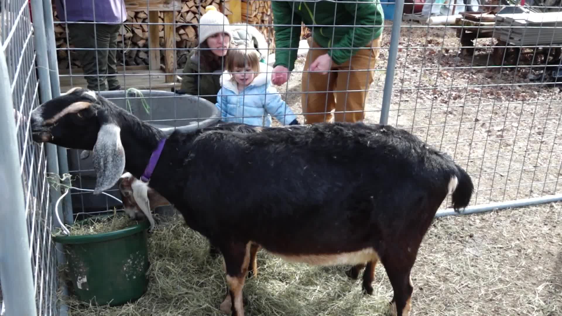 SRCTV - Saco River Chronicles - Maple Syrup Sunday - March 23 2025