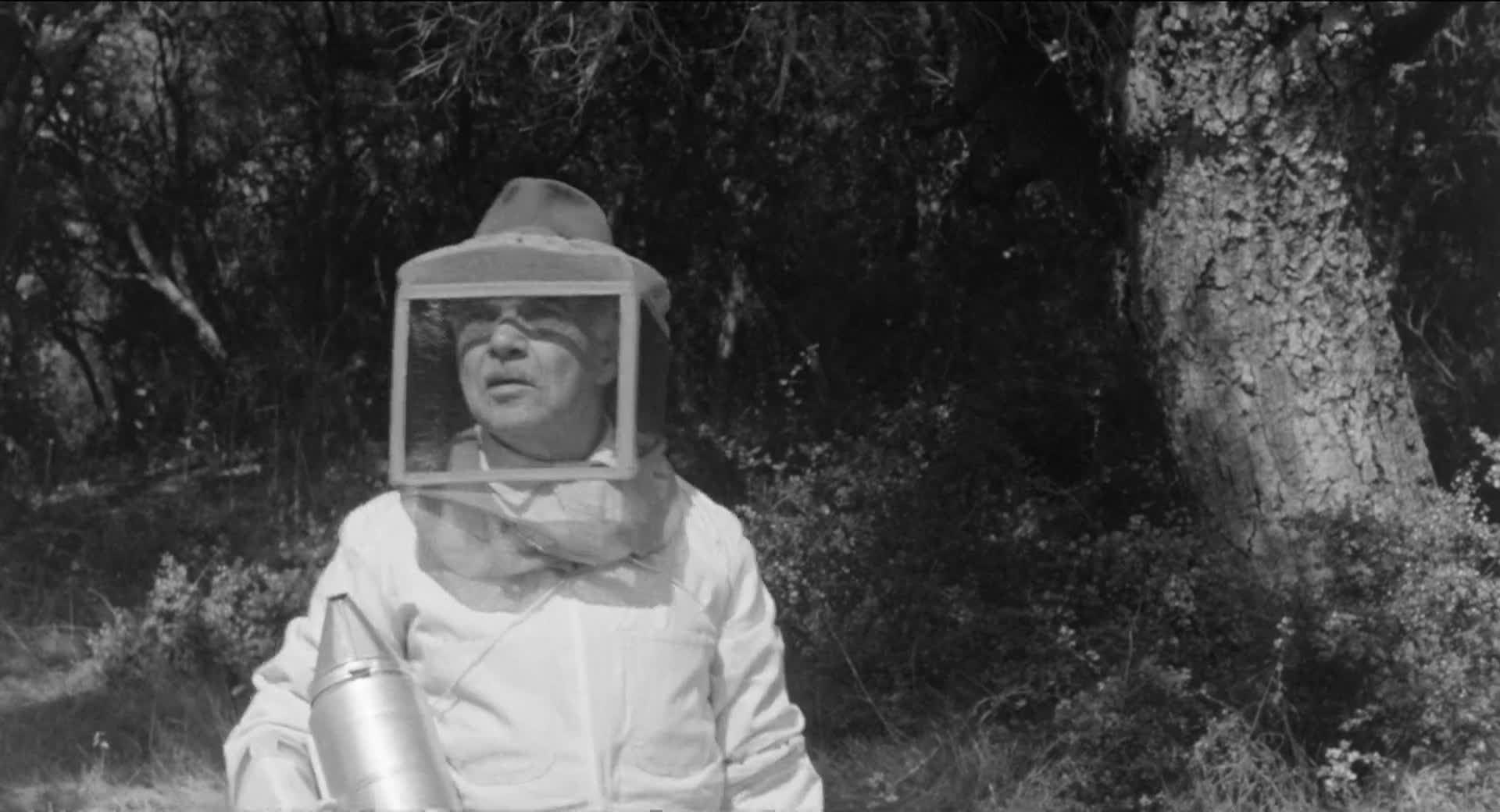 Thumbnail image for Movies - The Wasp Woman - 1959