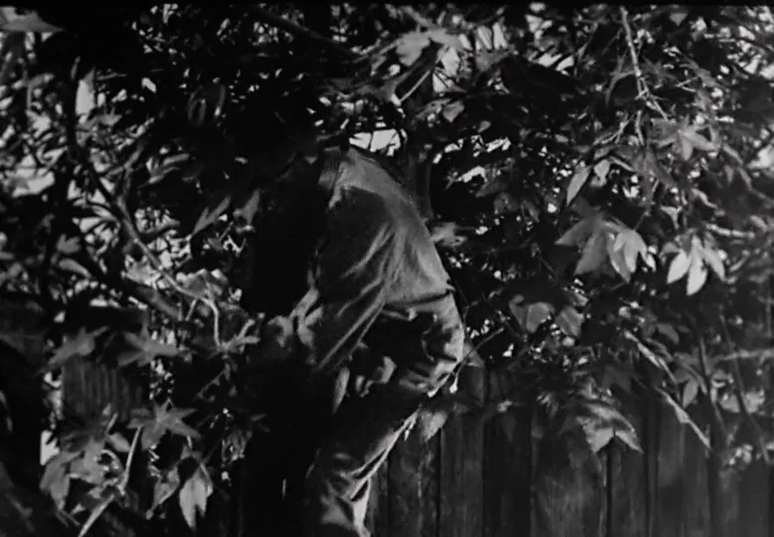 Thumbnail image for Public Domain Movies - Bowery At Midnight - 1942