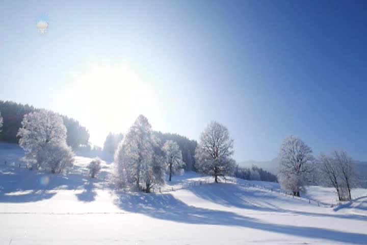 We Are Not Alone - We Are Loved - by Gabriele