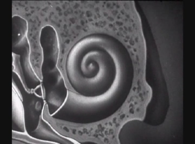 Thumbnail image for AMERICANA Thanksgiving & How the Ear works