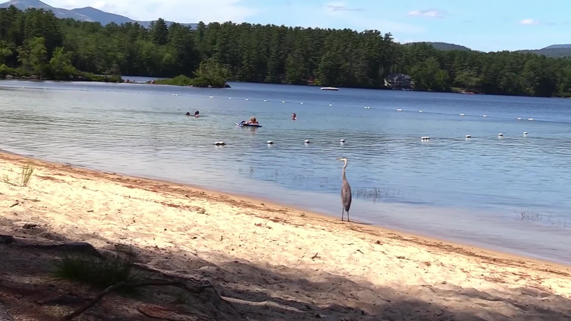 Thumbnail image for Sketches of Kezar Lake in Lovell, Maine