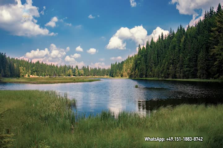 Thumbnail image for Inner Devotional - Be Still and Entrust Yourself to God (13)