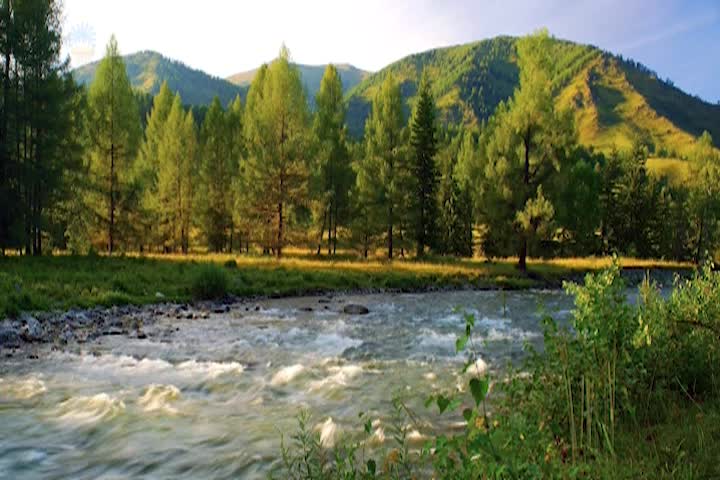 Thumbnail image for Inner Devotional - Your Eyes Are the Light of the Soul  (15)