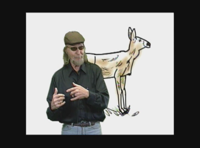 The Dr Draw Show - Deer Show