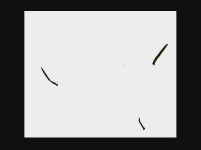 Thumbnail image for The Dr Draw Show - Grasshopper Show