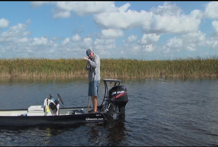 Thumbnail image for Go Fish with Dan Kenney - show 71/71 Okeechobee Snakehead Florida