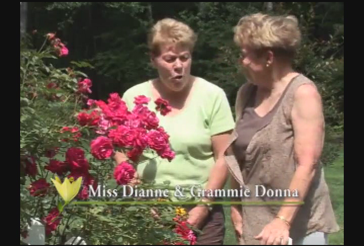 Thumbnail image for Garden Thyme- DeSimone Family