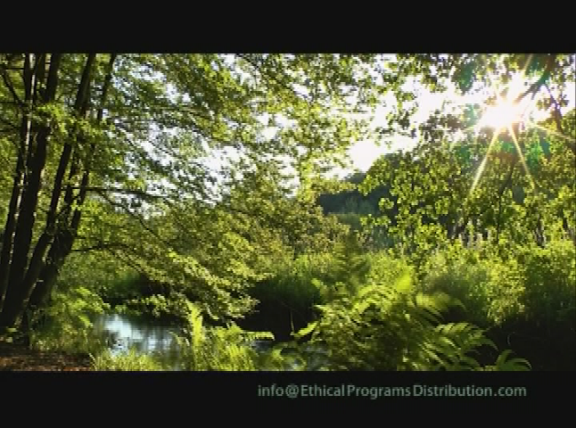 Thumbnail image for A Meditation for Learning