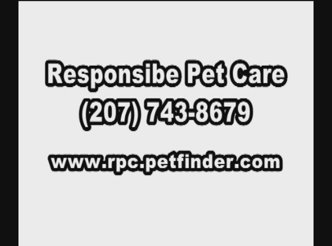 Thumbnail image for The Pet Adoption Show