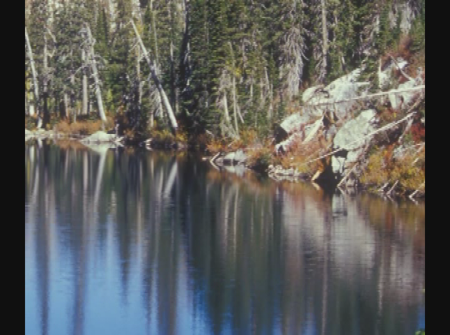 Thumbnail image for  Images From Nature - Rich Leon