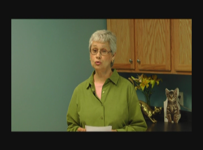 Thumbnail image for The Pet Adoption Show  Episode: 005RPC072513