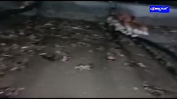 Thumbnail image for Connection TV Africa