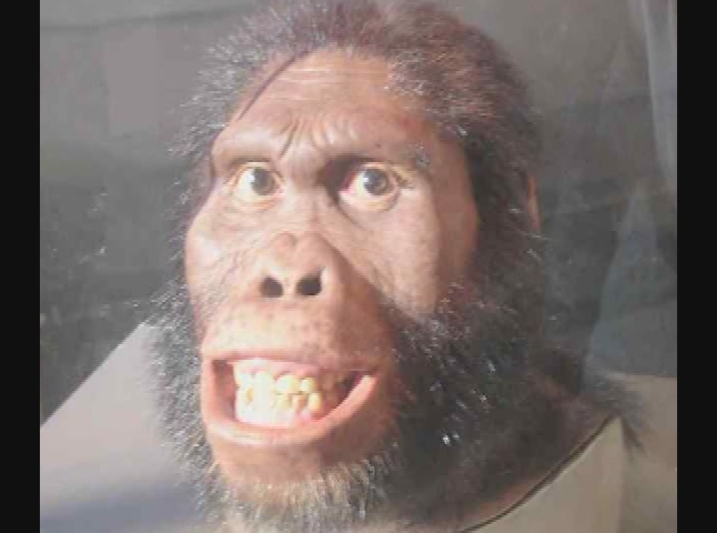 Thumbnail image for  Creation, Genesis and Origins Ancient Ancestors