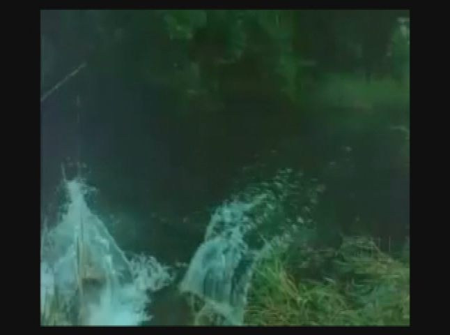 Thumbnail image for  Bordello of Horror - Night Tide