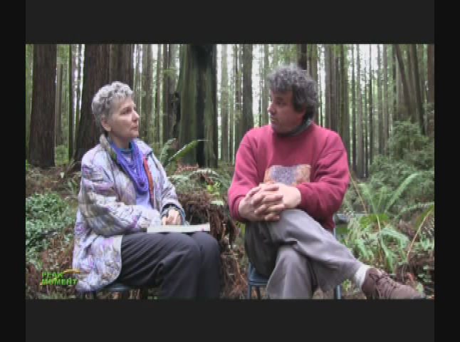 Thumbnail image for Love, Intelligence and Art — Musings on the Natural World