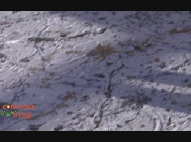 Thumbnail image for Creativity 101 - Living Outside the Box