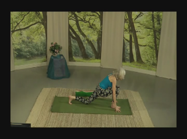 Thumbnail image for  Handstands and Shoulder Stands 0017