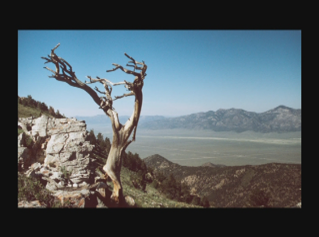 Thumbnail image for Better World Films  :Walkin Jim - A Divine Key